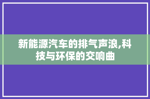 新能源汽车的排气声浪,科技与环保的交响曲