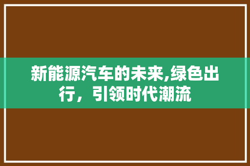 新能源汽车的未来,绿色出行，引领时代潮流
