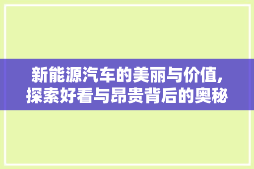 新能源汽车的美丽与价值,探索好看与昂贵背后的奥秘