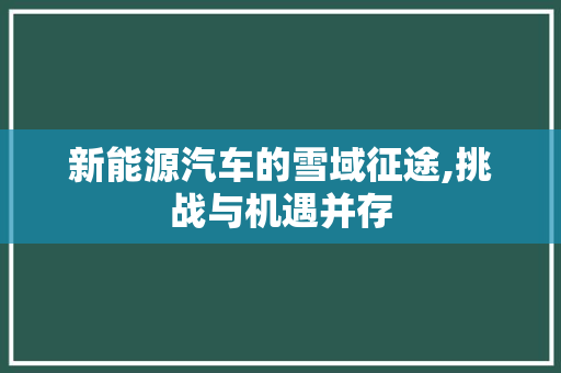 新能源汽车的雪域征途,挑战与机遇并存