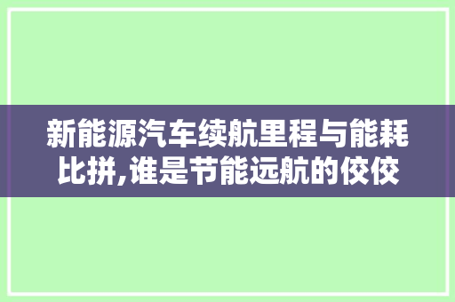新能源汽车续航里程与能耗比拼,谁是节能远航的佼佼者