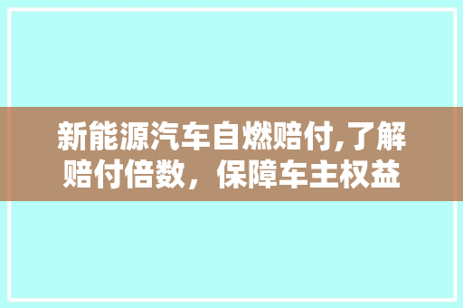 新能源汽车自燃赔付,了解赔付倍数，保障车主权益