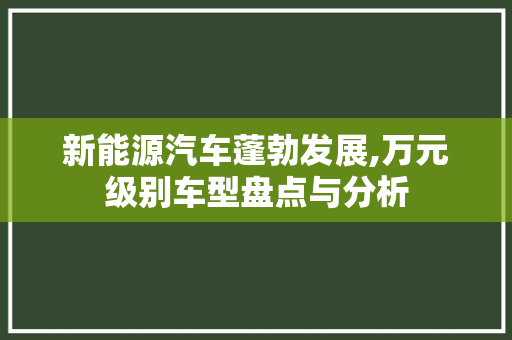 新能源汽车蓬勃发展,万元级别车型盘点与分析
