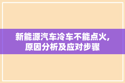 新能源汽车冷车不能点火,原因分析及应对步骤