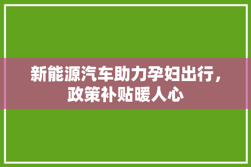 新能源汽车助力孕妇出行，政策补贴暖人心