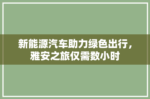 新能源汽车助力绿色出行，雅安之旅仅需数小时