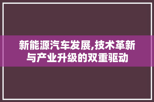 新能源汽车发展,技术革新与产业升级的双重驱动