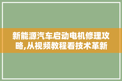 新能源汽车启动电机修理攻略,从视频教程看技术革新与维修之路