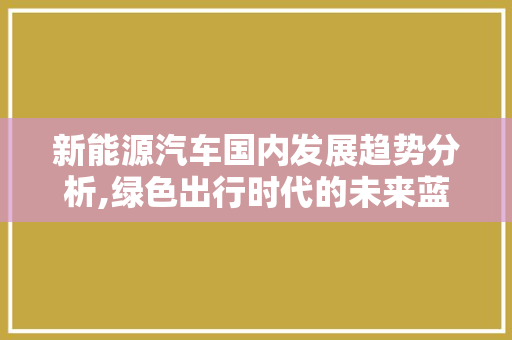 新能源汽车国内发展趋势分析,绿色出行时代的未来蓝图