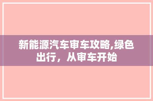 新能源汽车审车攻略,绿色出行，从审车开始