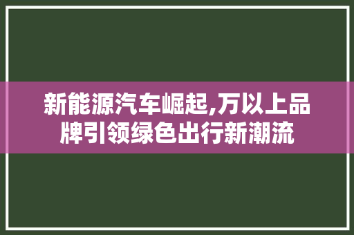 新能源汽车崛起,万以上品牌引领绿色出行新潮流