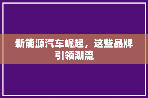 新能源汽车崛起，这些品牌引领潮流