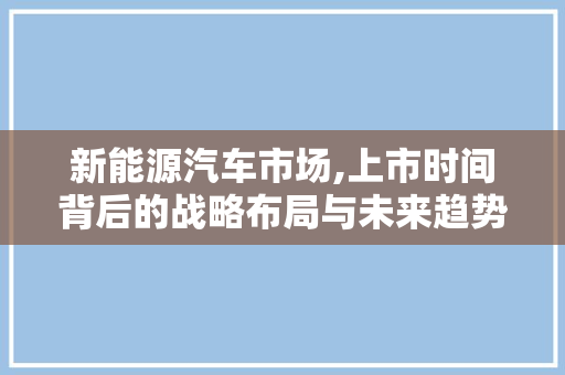新能源汽车市场,上市时间背后的战略布局与未来趋势