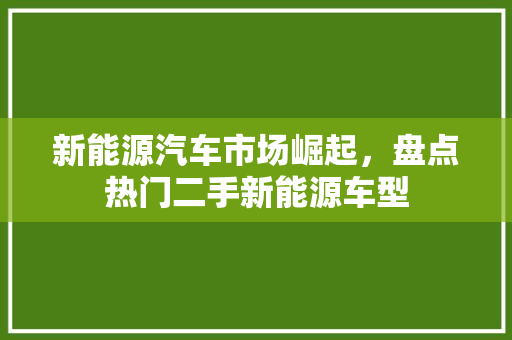 新能源汽车市场崛起，盘点热门二手新能源车型