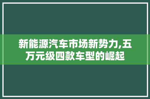 新能源汽车市场新势力,五万元级四款车型的崛起