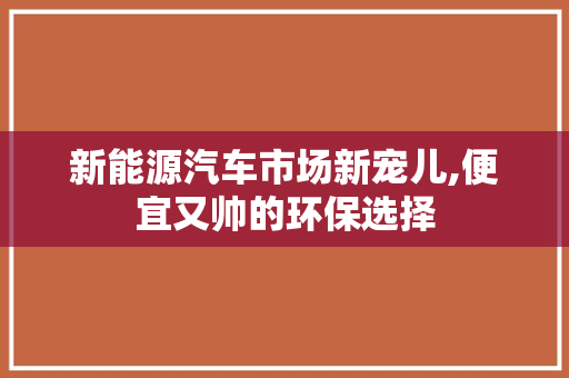新能源汽车市场新宠儿,便宜又帅的环保选择
