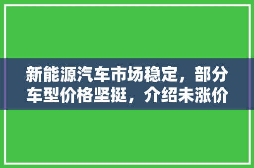 新能源汽车市场稳定，部分车型价格坚挺，介绍未涨价之谜