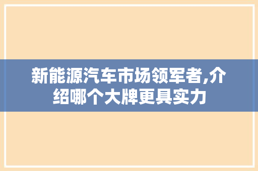 新能源汽车市场领军者,介绍哪个大牌更具实力