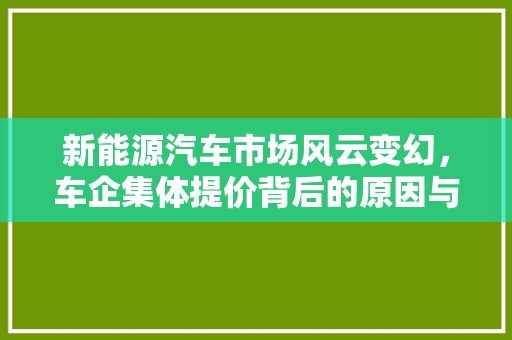 新能源汽车市场风云变幻，车企集体提价背后的原因与影响