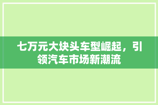七万元大块头车型崛起，引领汽车市场新潮流