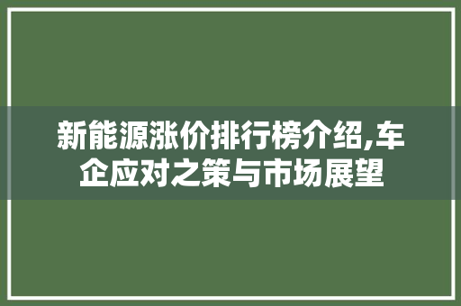 新能源涨价排行榜介绍,车企应对之策与市场展望