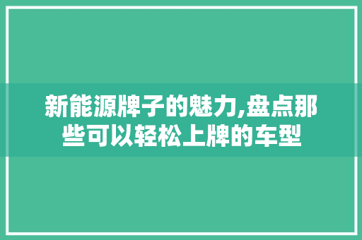 新能源牌子的魅力,盘点那些可以轻松上牌的车型