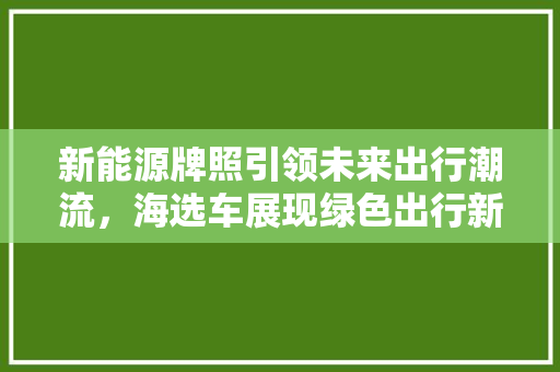 新能源牌照引领未来出行潮流，海选车展现绿色出行新风尚