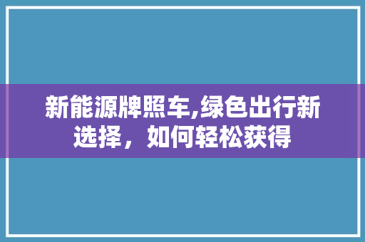 新能源牌照车,绿色出行新选择，如何轻松获得