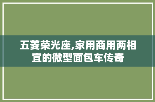 五菱荣光座,家用商用两相宜的微型面包车传奇