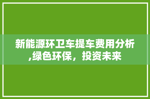 新能源环卫车提车费用分析,绿色环保，投资未来