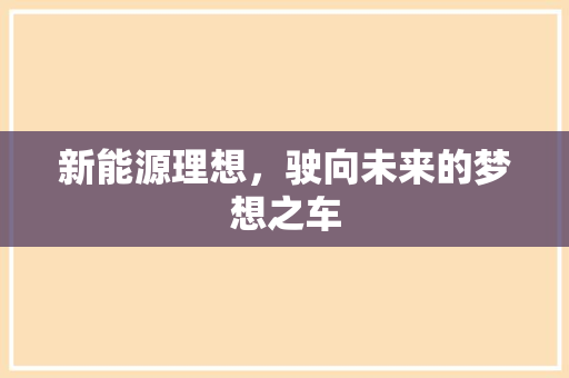 新能源理想，驶向未来的梦想之车