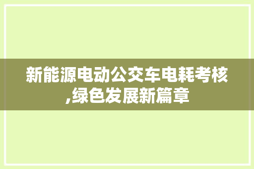 新能源电动公交车电耗考核,绿色发展新篇章