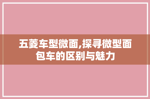 五菱车型微面,探寻微型面包车的区别与魅力