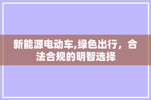新能源电动车,绿色出行，合法合规的明智选择
