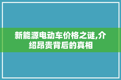 新能源电动车价格之谜,介绍昂贵背后的真相