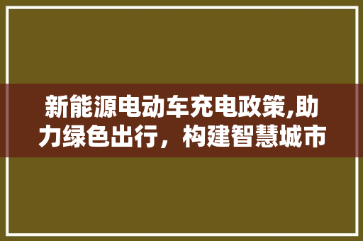 新能源电动车充电政策,助力绿色出行，构建智慧城市