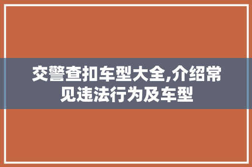 交警查扣车型大全,介绍常见违法行为及车型