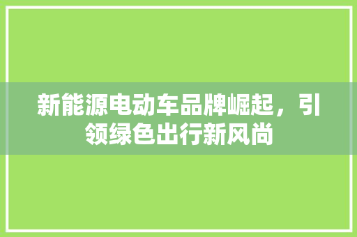 新能源电动车品牌崛起，引领绿色出行新风尚