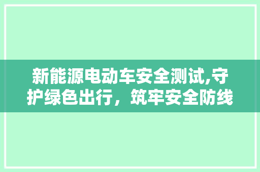新能源电动车安全测试,守护绿色出行，筑牢安全防线