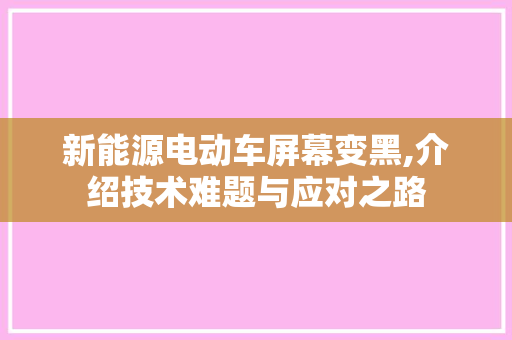 新能源电动车屏幕变黑,介绍技术难题与应对之路