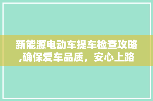新能源电动车提车检查攻略,确保爱车品质，安心上路