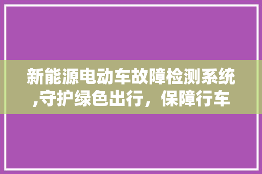 新能源电动车故障检测系统,守护绿色出行，保障行车安全