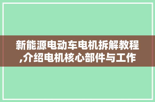 新能源电动车电机拆解教程,介绍电机核心部件与工作原理