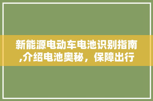 新能源电动车电池识别指南,介绍电池奥秘，保障出行安全