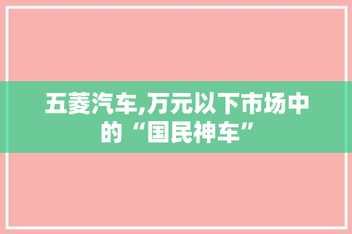 五菱汽车,万元以下市场中的“国民神车”