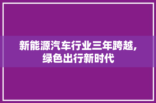 新能源汽车行业三年跨越,绿色出行新时代