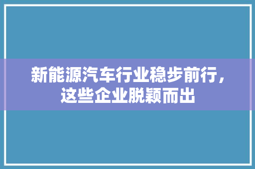 新能源汽车行业稳步前行，这些企业脱颖而出