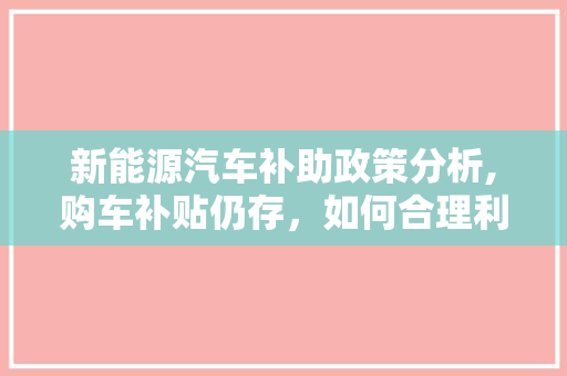 新能源汽车补助政策分析,购车补贴仍存，如何合理利用