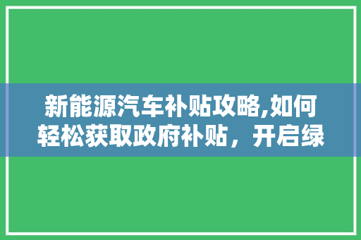 新能源汽车补贴攻略,如何轻松获取政府补贴，开启绿色出行新篇章