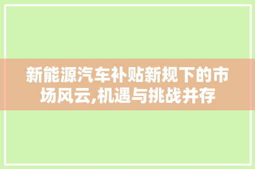 新能源汽车补贴新规下的市场风云,机遇与挑战并存